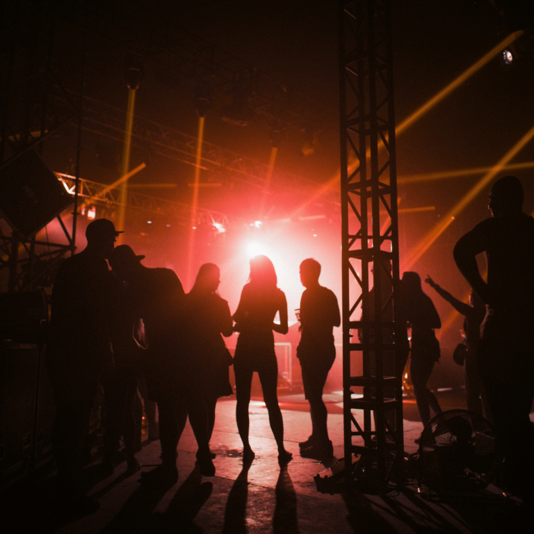 Accompagnement artiste